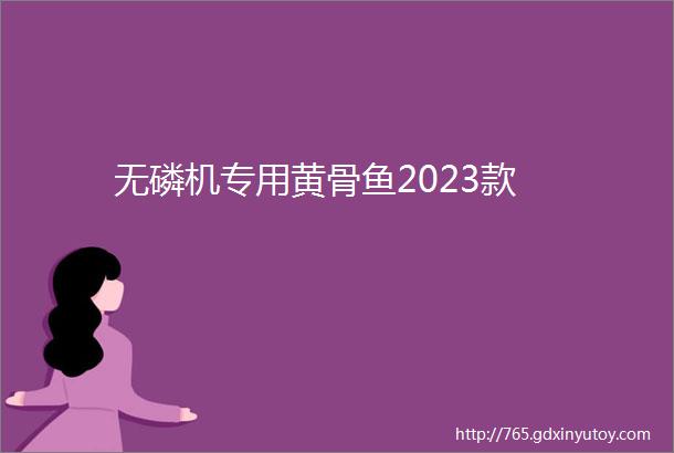 无磷机专用黄骨鱼2023款