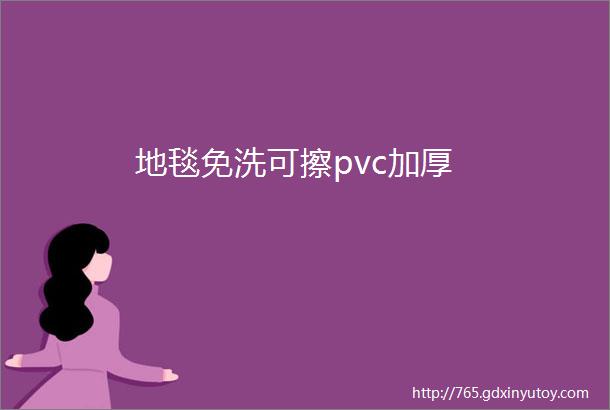 地毯免洗可擦pvc加厚