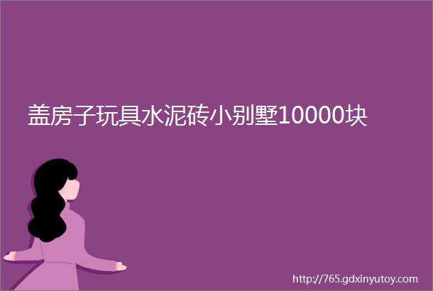 盖房子玩具水泥砖小别墅10000块