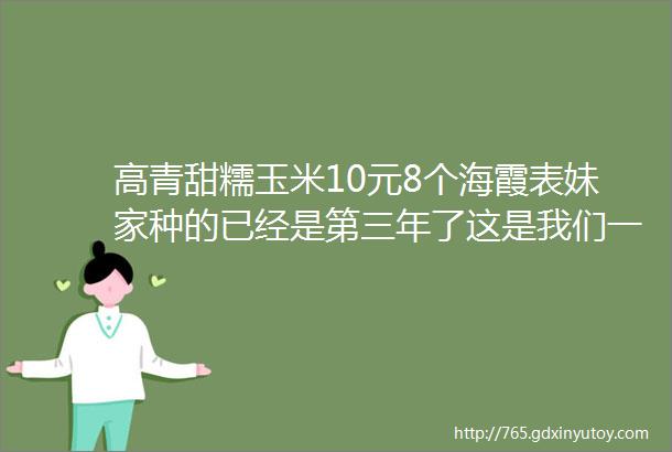 高青甜糯玉米10元8个海霞表妹家种的已经是第三年了这是我们一年当中卖的最好吃的糯玉米