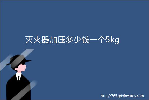 灭火器加压多少钱一个5kg