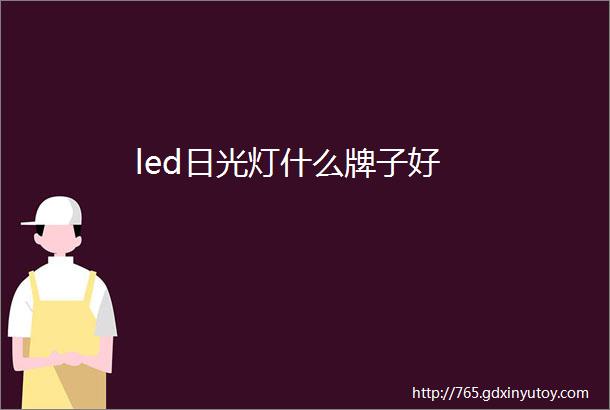 led日光灯什么牌子好