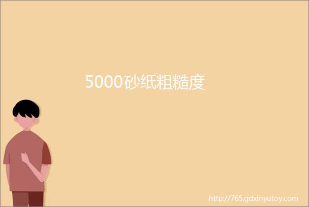 5000砂纸粗糙度