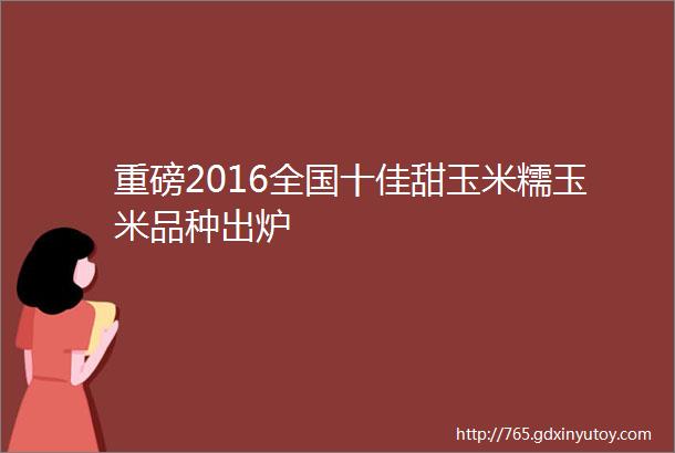 重磅2016全国十佳甜玉米糯玉米品种出炉